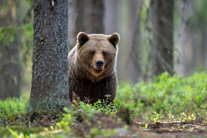 Фото поста канала  Лента Новостей