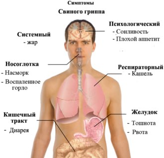 Фото поста канала  Честно - и точка