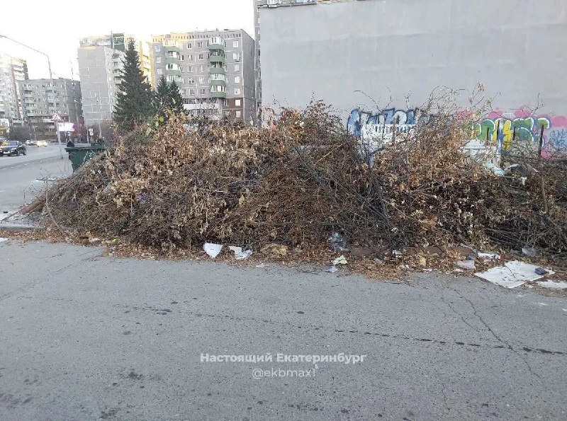 Фото поста канала  Ботаника Екатеринбург