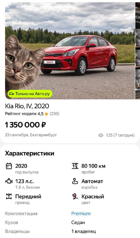 Фото поста канала Кчау!