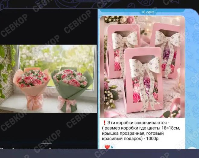 Фото поста канала  Севкор z Новости Севастополя z