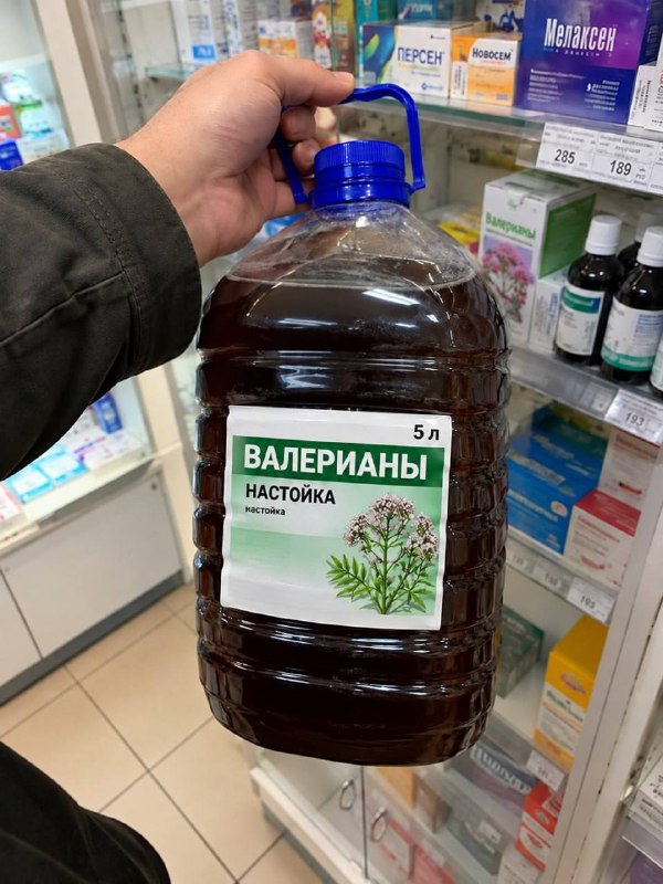 Фото поста канала @Ufa_rb | Новости. Уфа Башкортостан