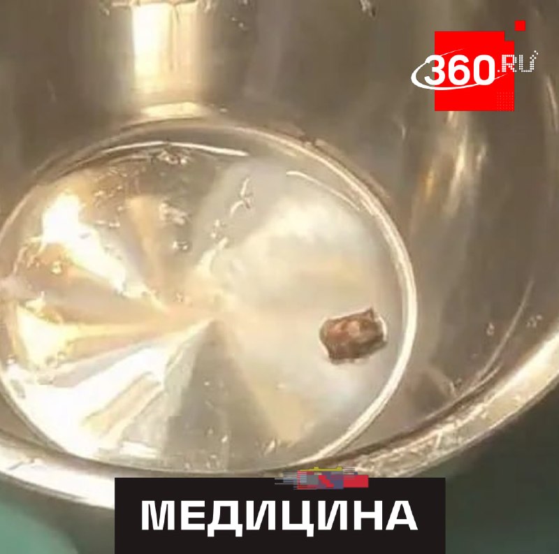 Фото поста канала  360.ru