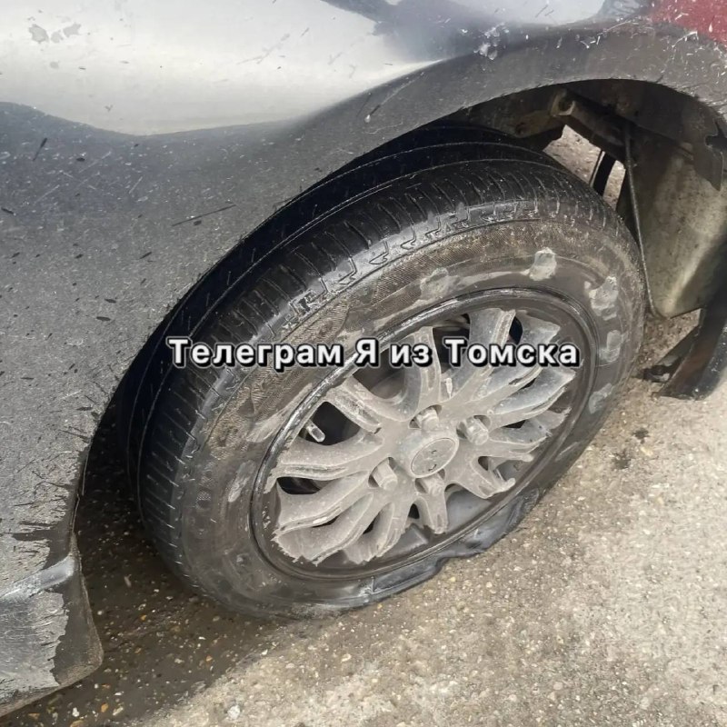 Фото поста канала Я из Томска