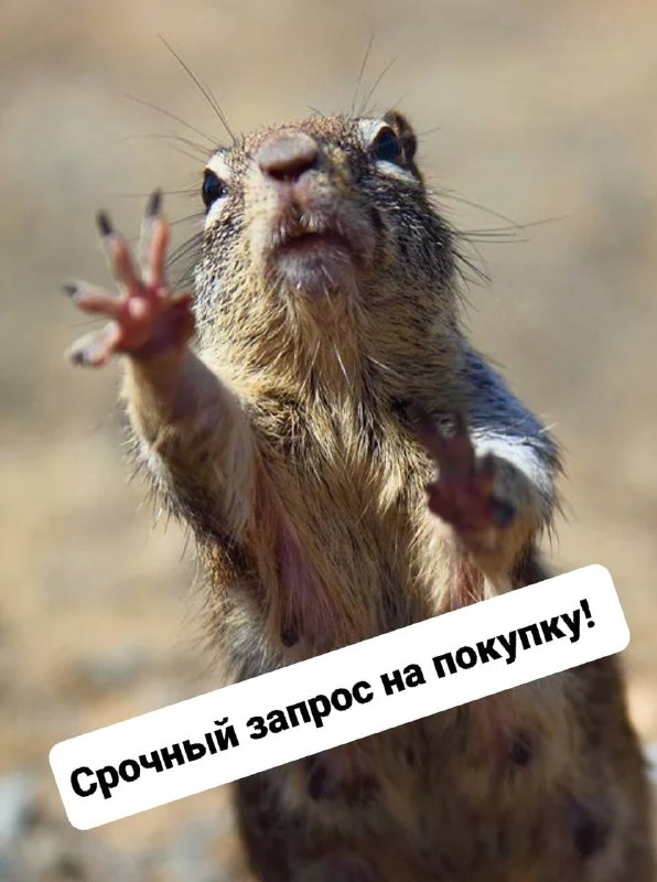 Фото поста канала  Зеленодольск Life | Яшел Үзән| РТ