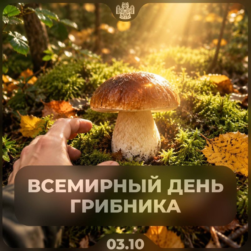 Фото поста канала Новости Иркутска и Области