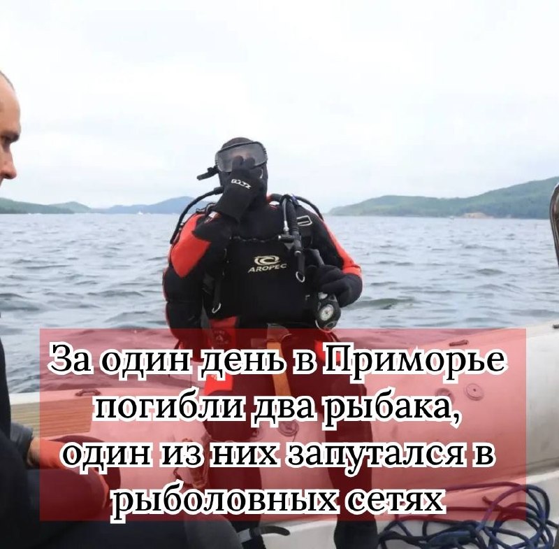 Фото поста канала  Приморье | Онлайн