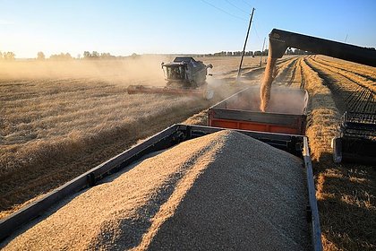 Фото поста канала  Лента Новостей