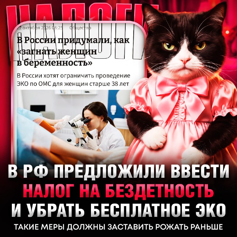 Фото поста канала  Рифмы и Панчи 🤯