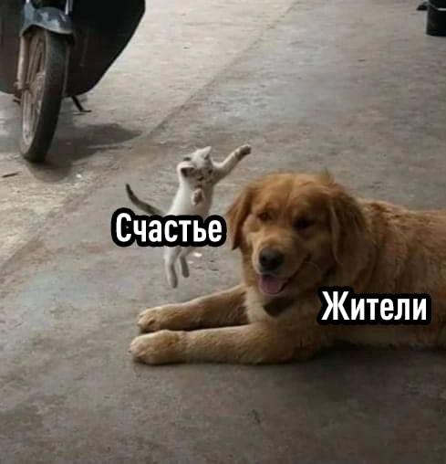 Фото поста канала Картотека