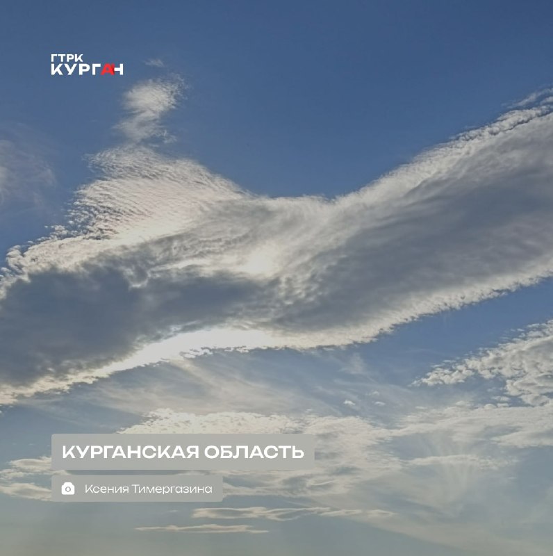 Фото поста канала  Мониторинг 45 Курганская область