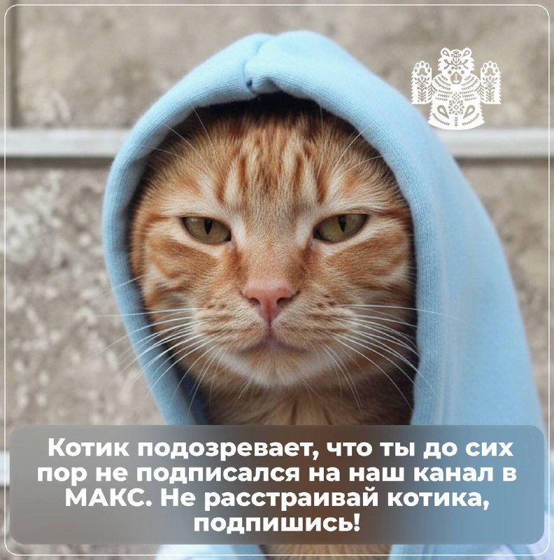 Фото поста канала Новости Иркутска и Области
