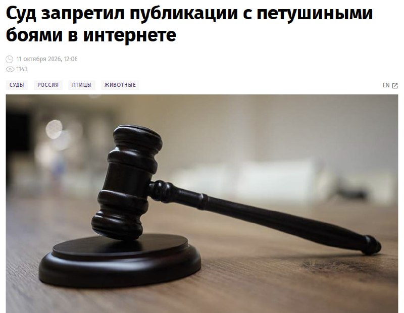 Фото поста канала Медийка