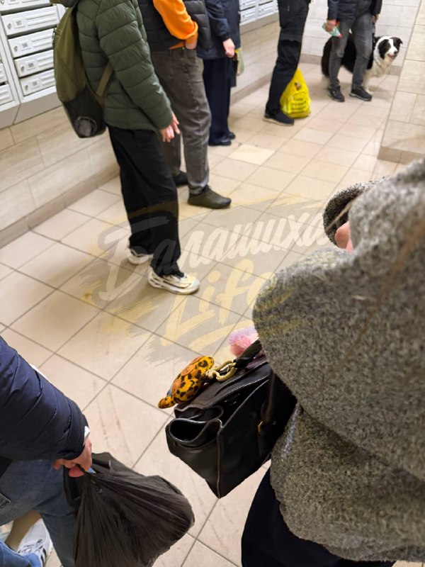 Фото поста канала  Балашиха Life