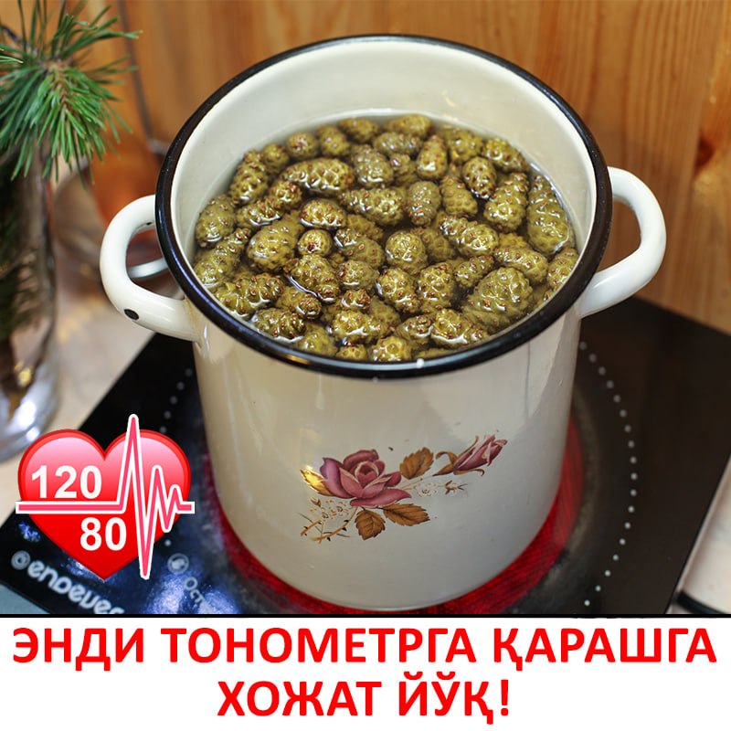 Фото поста канала  Tezkor Yangiliklar ⚡