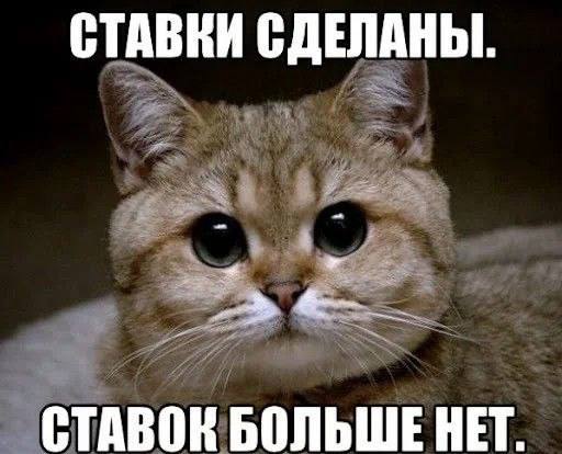 Фото поста канала  Оперативный обзор