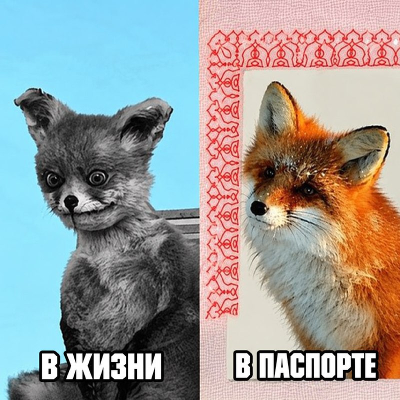 Фото поста канала  ОБЫЧНЫЙ СТАВРОПОЛЬ