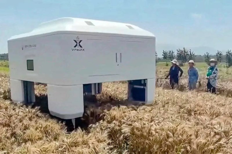 Фото поста канала  Виртуальный Брест новости