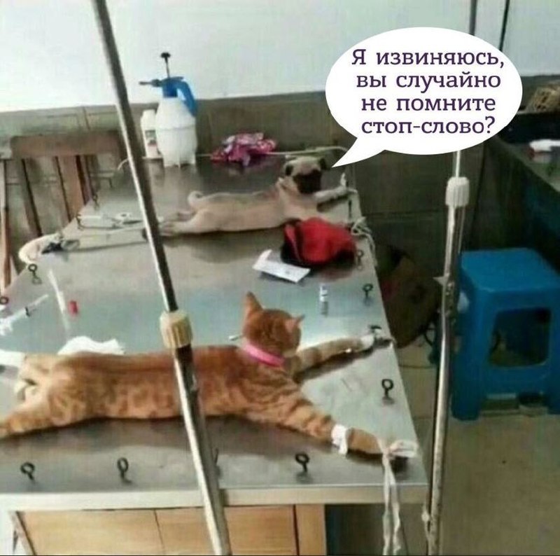 Фото поста канала  ПУТИН в Telegram