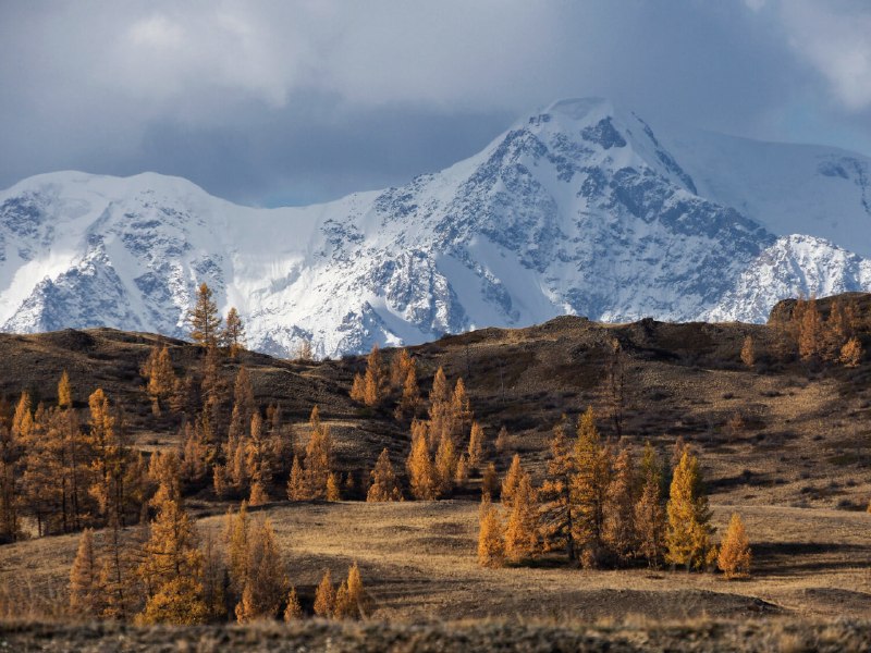 Фото поста канала Самокатус