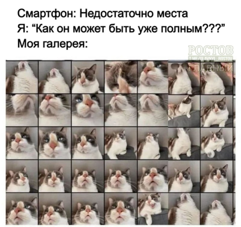 Фото поста канала  Ростов Главный новости