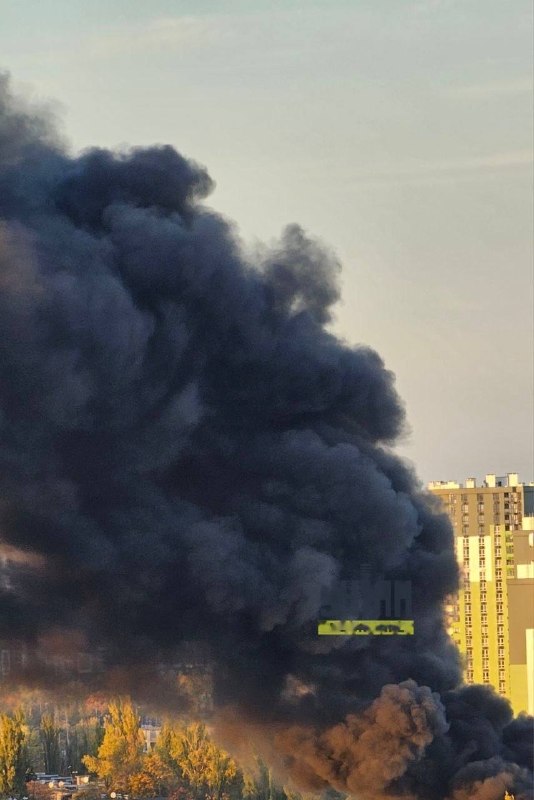 Фото поста канала  Хроники Гераней