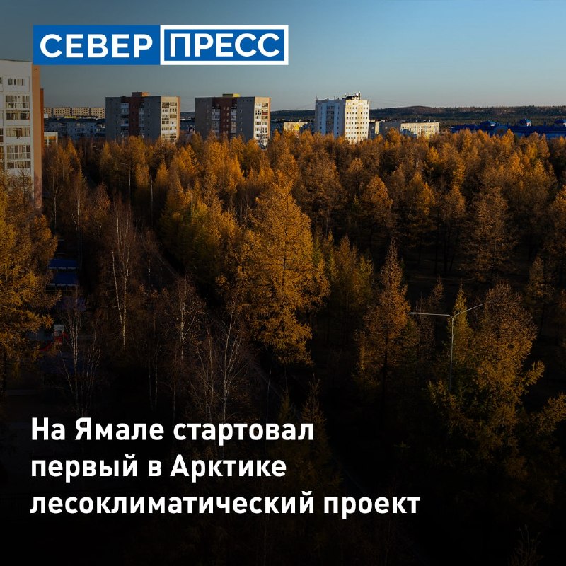 Фото поста канала  Мониторинг 89 Ямало-Ненецкий АО