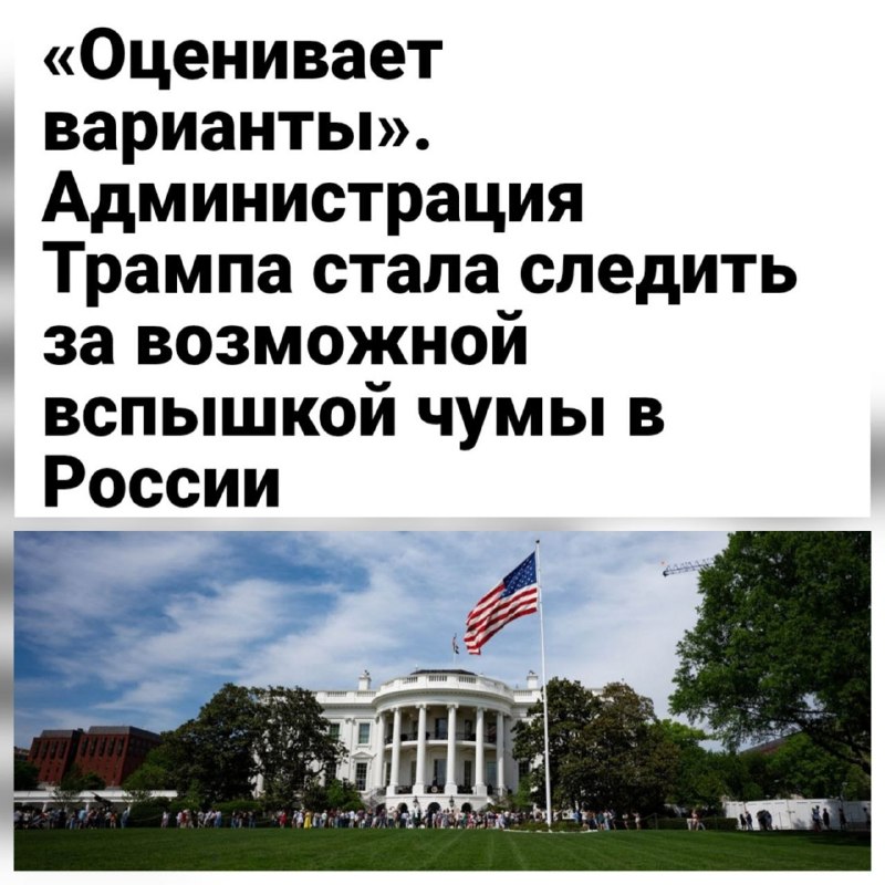 Фото поста канала  Сад Сновидений