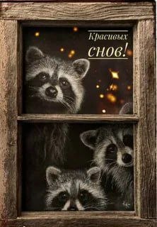 Фото поста канала  На самом деле в Запорожье