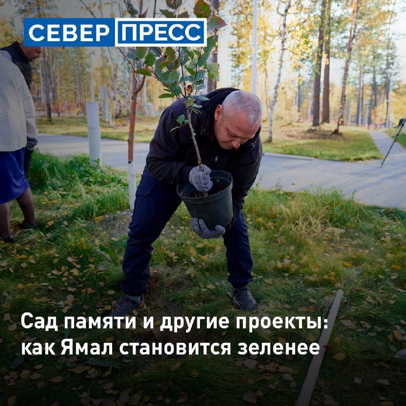 Фото поста канала  Мониторинг 89 Ямало-Ненецкий АО