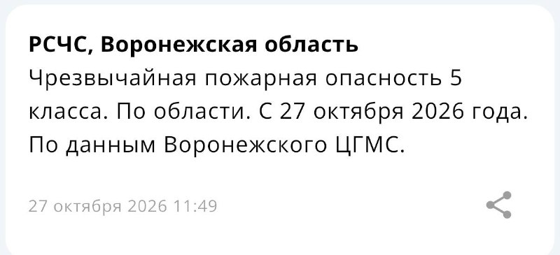 Фото поста канала  Большой воронежский