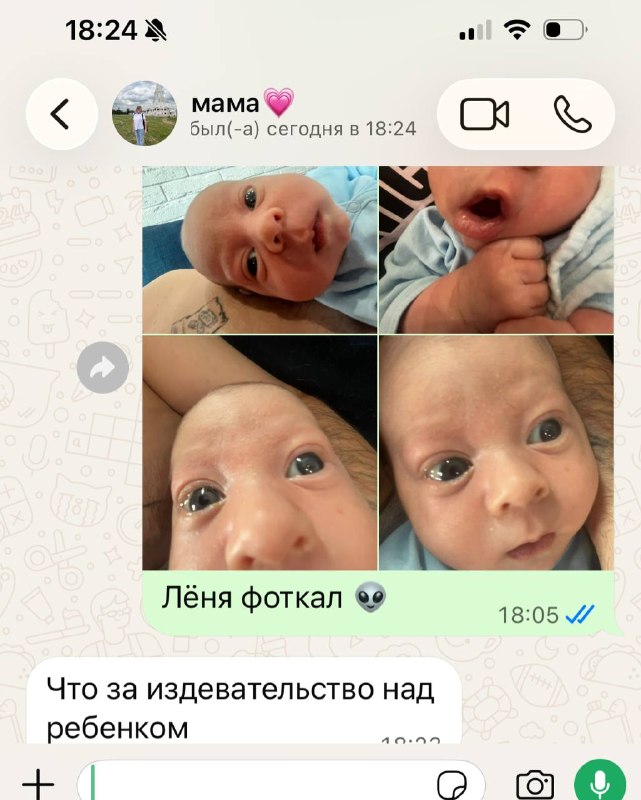 Фото поста канала  Леонардо Ди Ванче