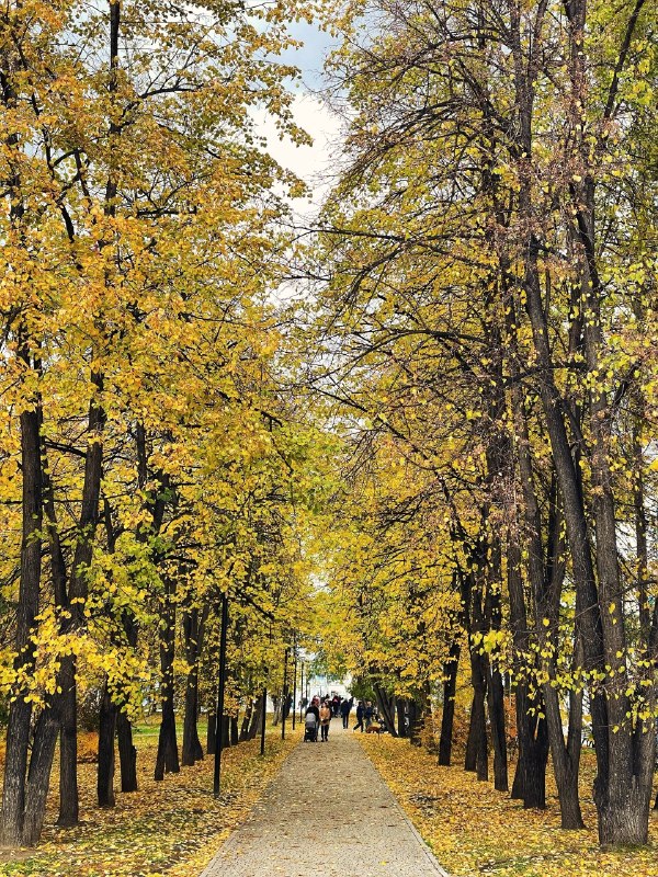 Фото поста канала Инцидент Новосибирск