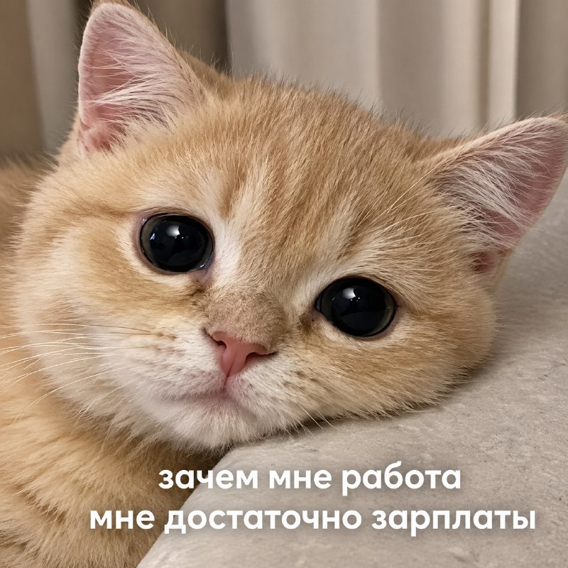 Фото поста канала натуральный маркетинг