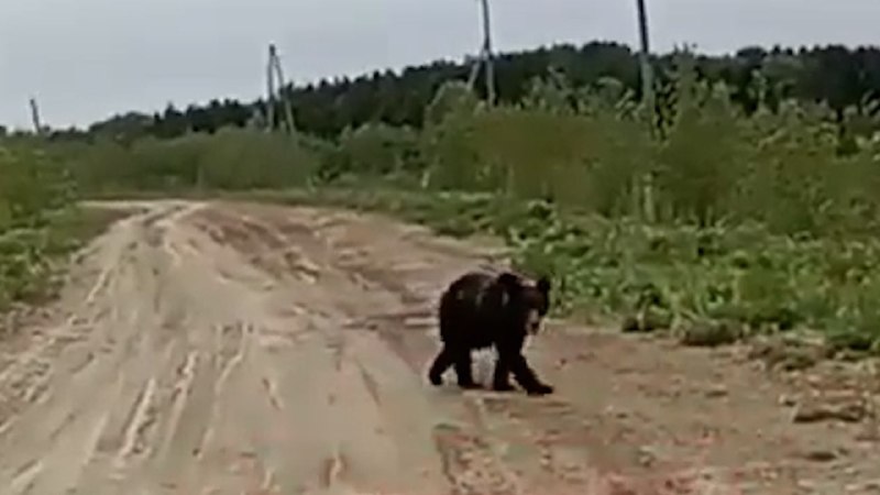 Фото поста канала КОНТЕКСТ 
