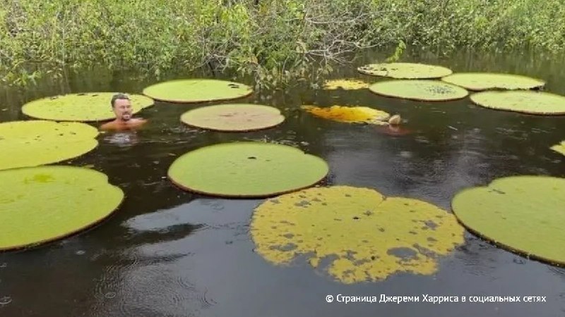 Фото поста канала  Виртуальный Брест новости