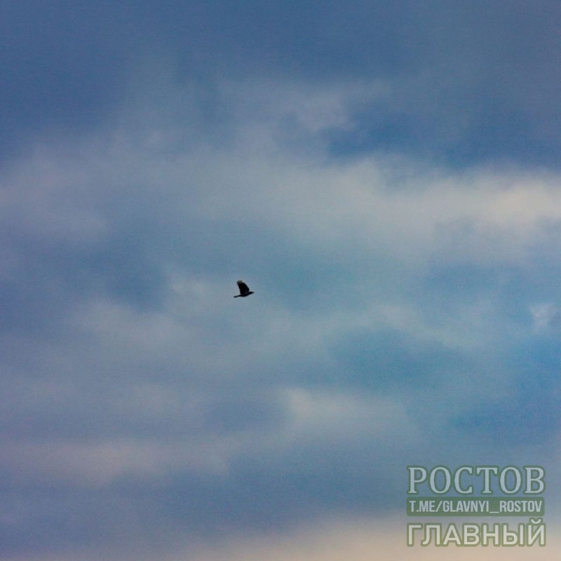Фото поста канала  Ростов Главный новости