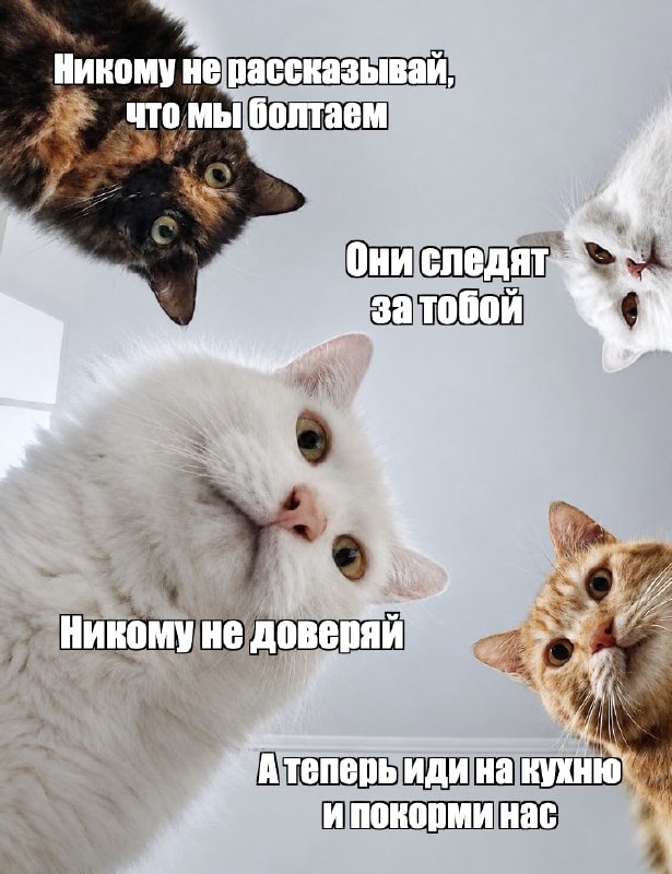 Фото поста канала  Абзац