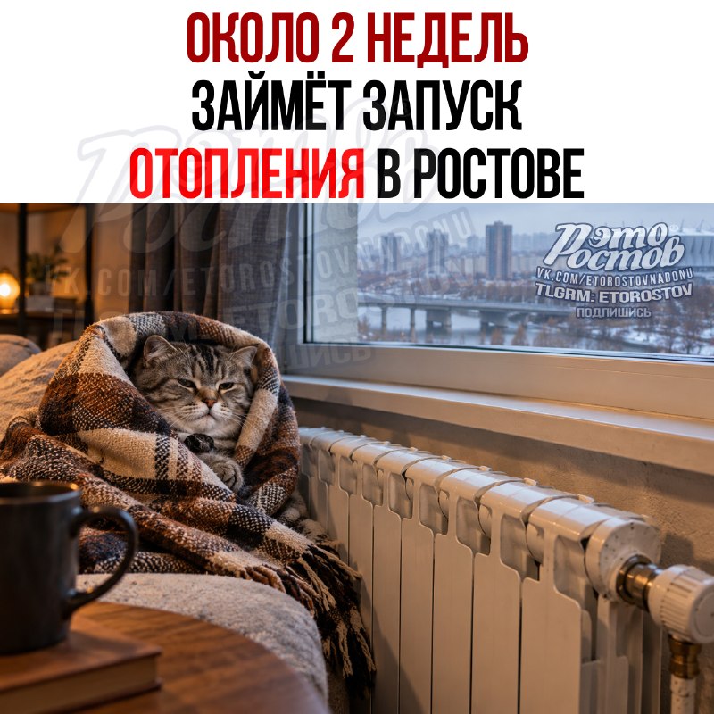 Фото поста канала  Это Ростов новости