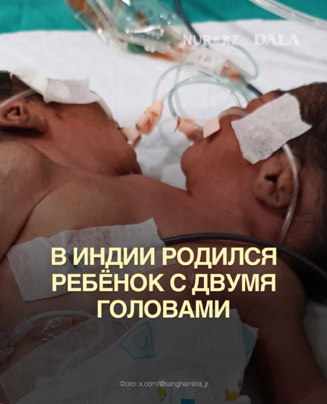 Фото поста канала  NUR.KZ - Новости Казахстана