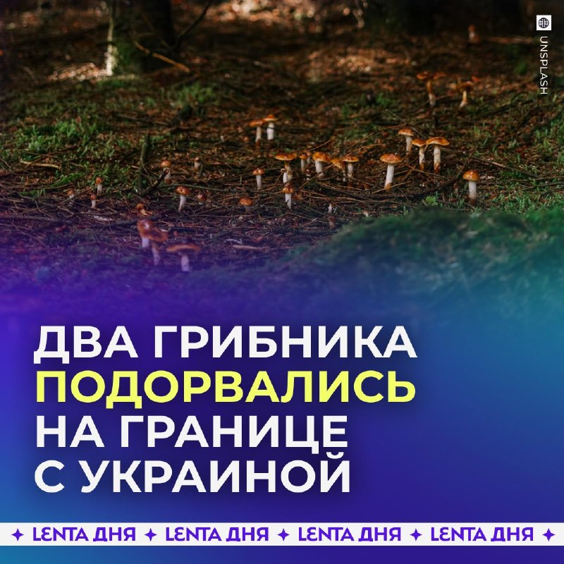 Фото поста канала Лента дня