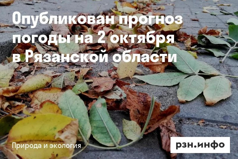 Фото поста канала  Новости Рязани • РЗН.инфо
