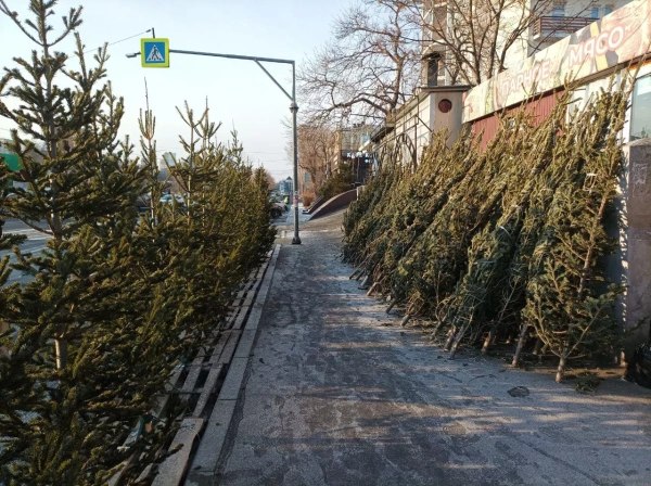 Фото поста канала  РБК Восток