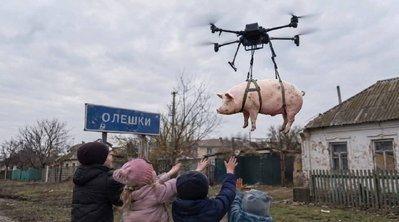 Фото поста канала  ПРОЕКТ БАРС 32🇷🇺