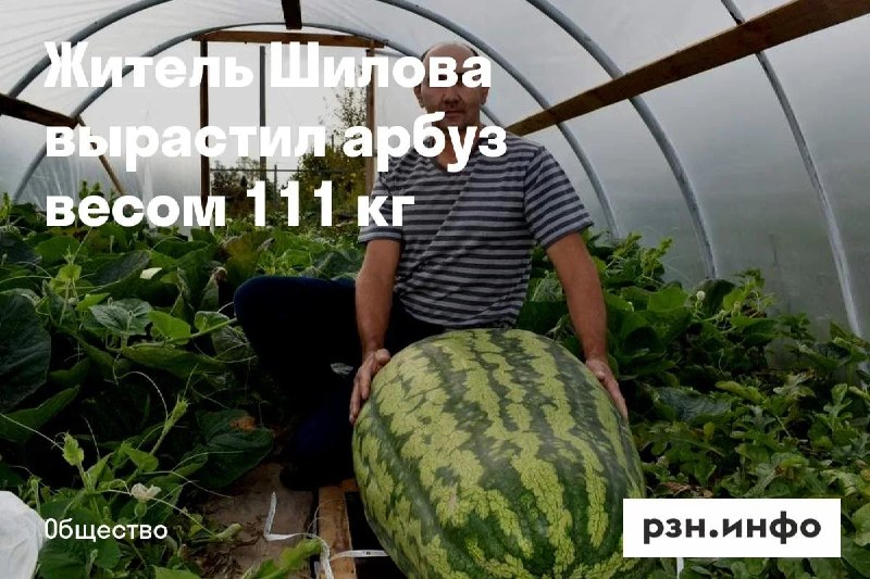 Фото поста канала  Новости Рязани • РЗН.инфо