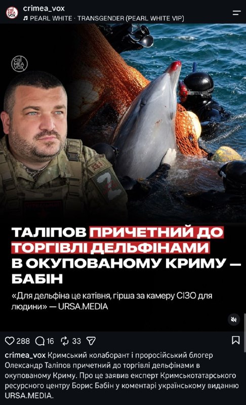 Фото поста канала  ТалипоV 𝐎𝐧𝐥𝐢𝐧𝐞 🅉