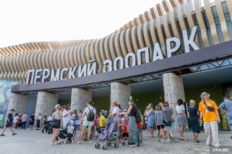 Фото поста канала  Большая Пермь