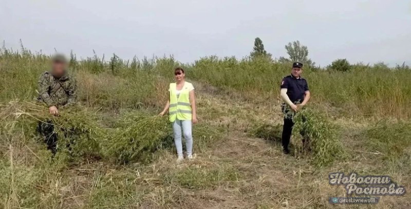 Фото поста канала  Новости Ростова - Rostovnews61