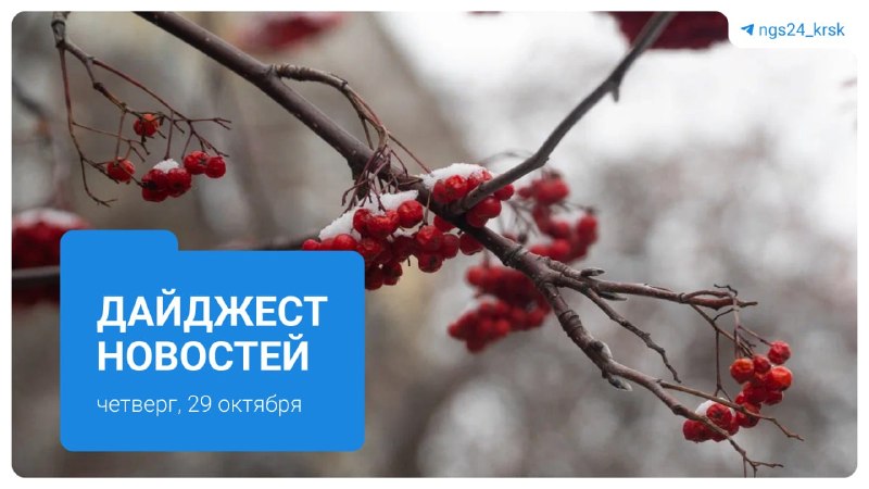 Фото поста канала  Мониторинг 24 Красноярский край