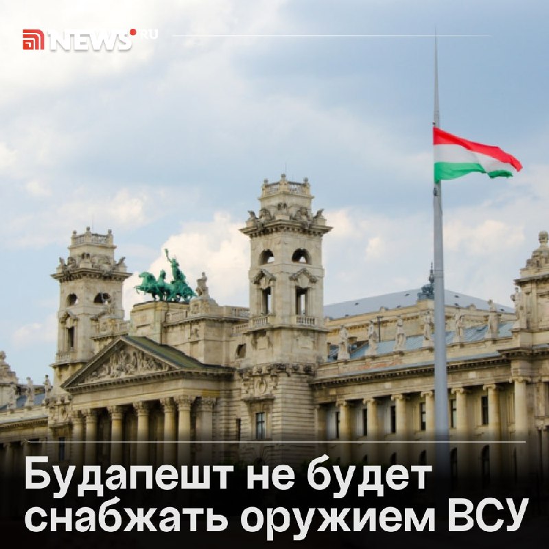 Фото поста канала  NEWS.ru | Новости